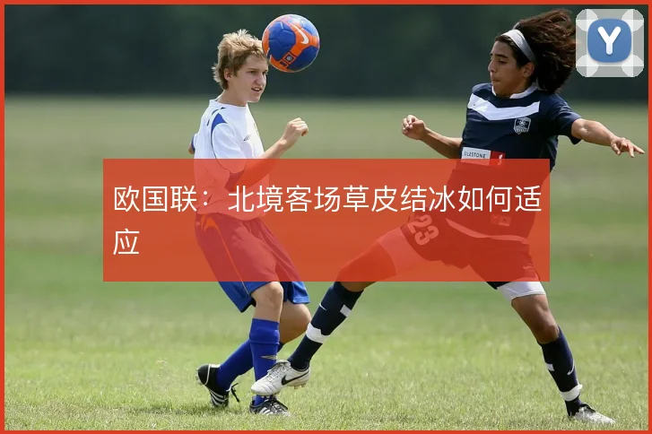 欧国联:北境客场草皮结冰如何适应